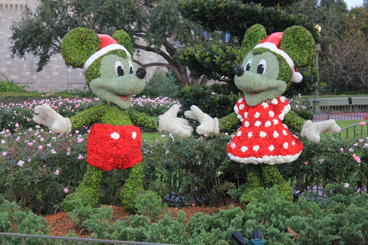 Micky and Minnie Mouse shaped bushes in Christmas outfits.