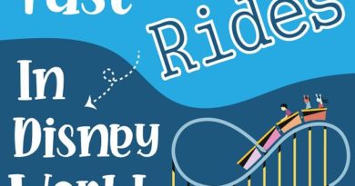 Fast Rides In Disney World Disney world rides