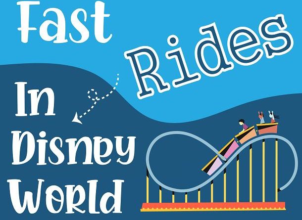 Disney world rides