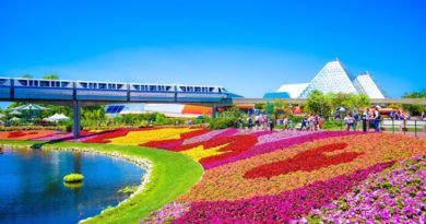 Flowers adorning Disney World’s park during springtime