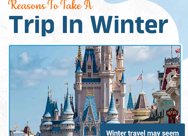 Reasons To Take A Trip In Winter